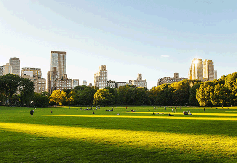 서산 트리븐 조경광장과 수경시설을 갖춘 힐링 공간
